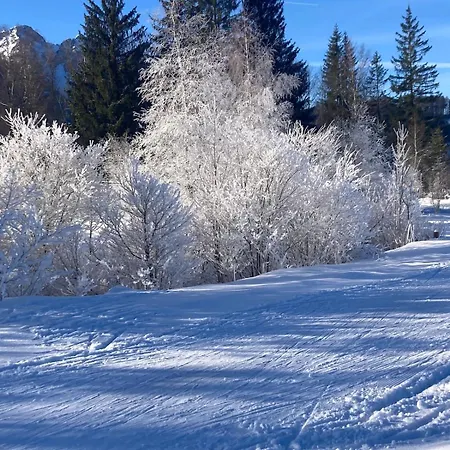 Traumhafte Im Chiemgau