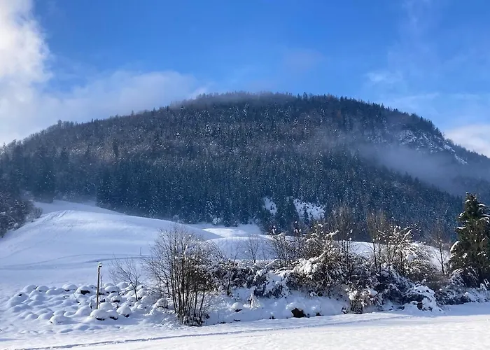 Traumhafte Im Chiemgau Lejlighed