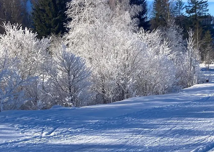Traumhafte Im Chiemgau