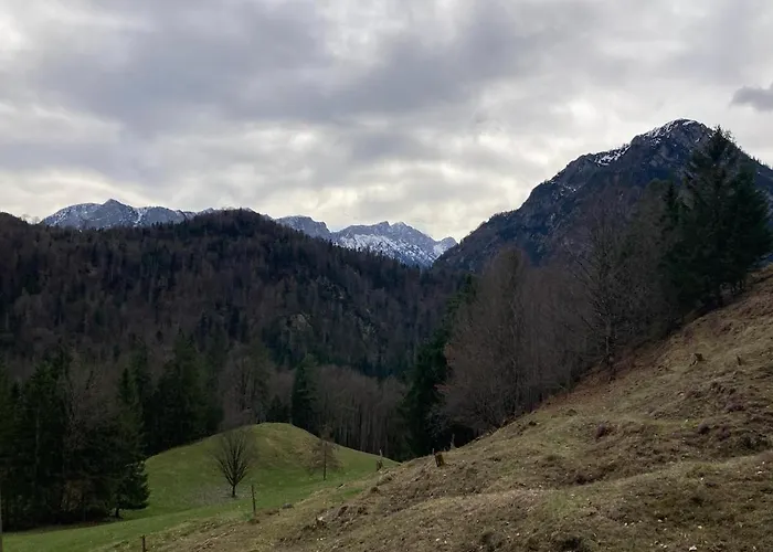 Traumhafte Im Chiemgau Lejlighed Schneizlreuth