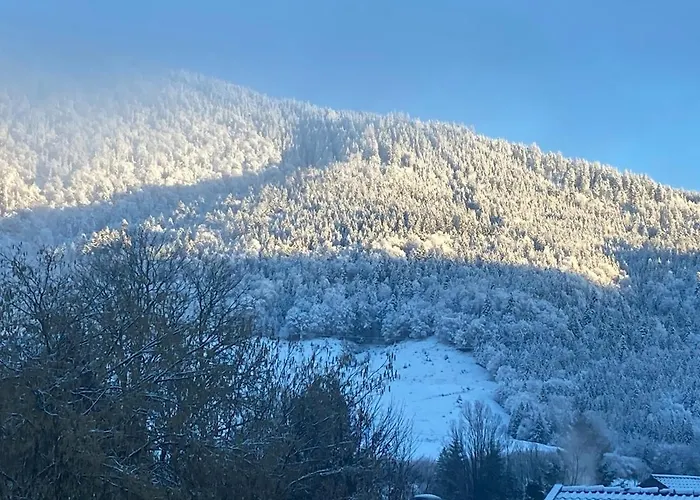 Traumhafte Im Chiemgau * Schneizlreuth